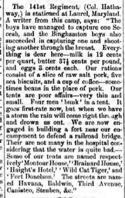 141st_ny:havana_ny_journal_1862_10_4.png